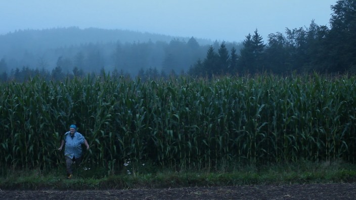 Dokumentarfilm: Das Leben ist ein weites Feld, doch wie man den Gottesacker bestellt, weiß noch lange nicht jeder Maisbauer so ganz genau.