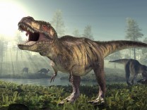 Dinosaurier: „Tyrannosaurus hupte“