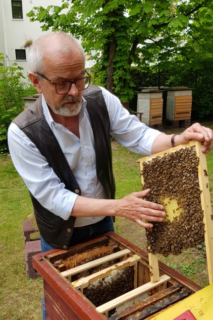 Imkermeister Thomas Radetzki: Dass Thomas Radetzki heute einer der bekanntesten Imker Deutschlands ist, verdankt er einem Zufall. Bis zum Abitur habe er eine Wespe kaum von einer Biene unterscheiden können, sagt er.