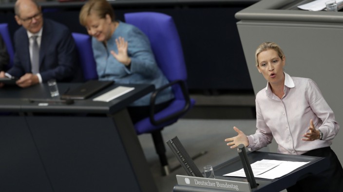 Parteienfinanzierung: Alice Weidel. Ko-Fraktionschefin der AfD im Bundestag