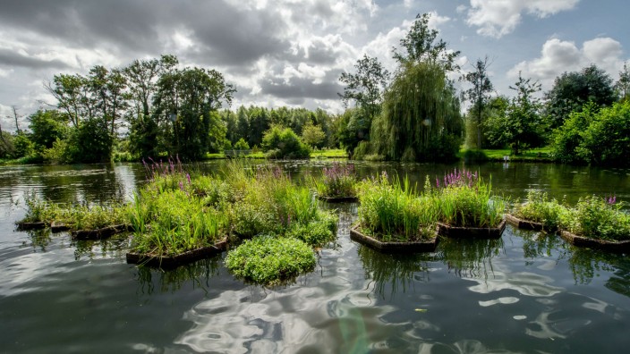 Amiens in Frankreich: Die schwimmenden Gärten von Amiens können auf einer Bootsfahrt besichtigt werden.