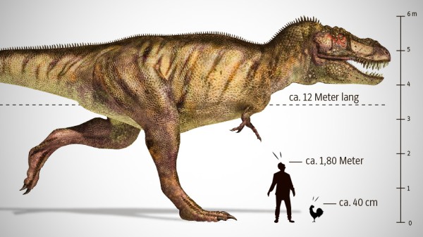 Größte dinosaurier zeiten der aller Größte Lebewesen