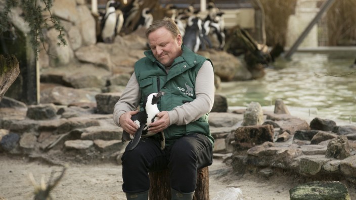 Tatort aus Münster: Schlangengrube - Bei seinen Undercover-Ermittlungen im Zoo schließt Tierpfleger Frank Thiel (Axel Prahl) den Pinguin Sandy in sein Herz.