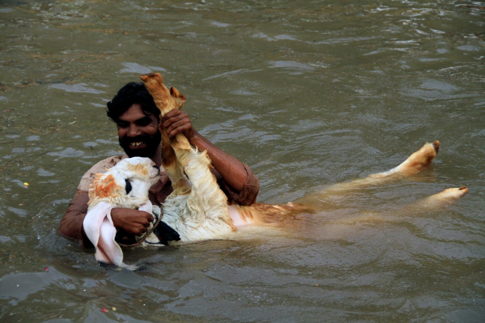 A man plays with his pet goat while taking a bath to cool off in a canal during hot and humid weather in Lahore