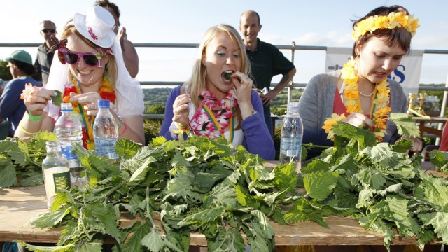 Louise and Lottie Gray, and Ivanova compete in the annual Nettle Eating World Championships during a hen party at Bottle Inn pub in Marshwood