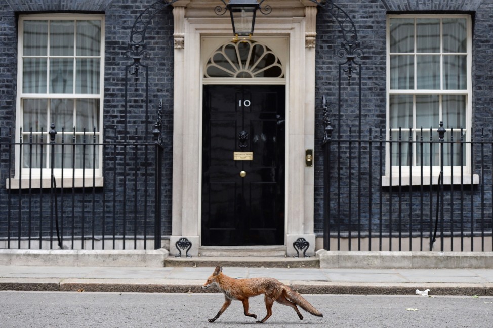Ministers Attend Cabinet Meeting at Downing Street