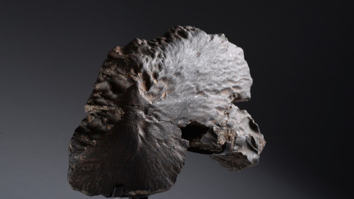 Kunstmesse: "Natürlich entstandene Skulptur": Ein 4,6 Milliarden Jahre alter Meteorit aus Nordafrika.