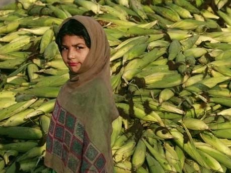 Mädchen vor einem Maiskolbenhaufen in Rawalpindi