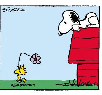 Snoopy guten morgen bilder