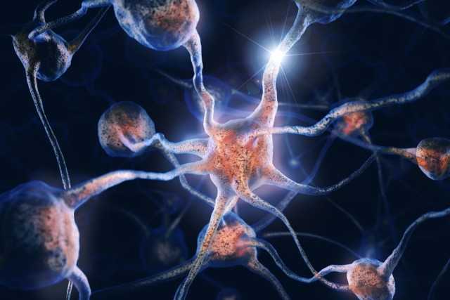Network of neurons and neural connections, Brain cells, scientific conceptual 3D illustration