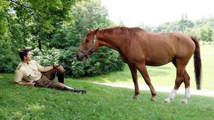 Berittene Polizisten: So schön kann es sein, wenn ein bayerischer Polizist mit seinem Pferd im Englischen Garten kurz mal Pause macht.