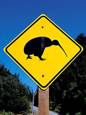 Reise Schilder weltweit Warnung Tiere