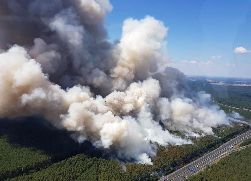 Waldbrand in Brandenburg bei Potsdam