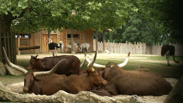 Der Tiergarten in Straubing in Niederbayern feiert 80. Geburtstag