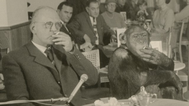 Der Tiergarten Straubing wird 80 Jahre alt: Zoodirektor Hans Schäfer und der Schimpanse Jimmy