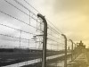 70. Jahrestag der Befreiung des KZ Buchenwald