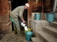 Farmer Niklaus Waber pours milk into a bucket at the mountain pasture Unterbaergli above Sigriswil