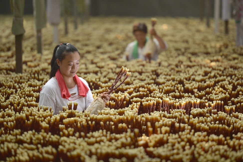 Pilzanbau in China