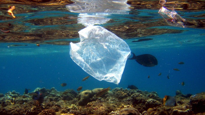 Greenwashing: Und was wird zum Schutz der Ozeane getan? Ein Blick in den Nachhaltigkeitsbericht eines Unternehmens kann darüber Auskunft geben.