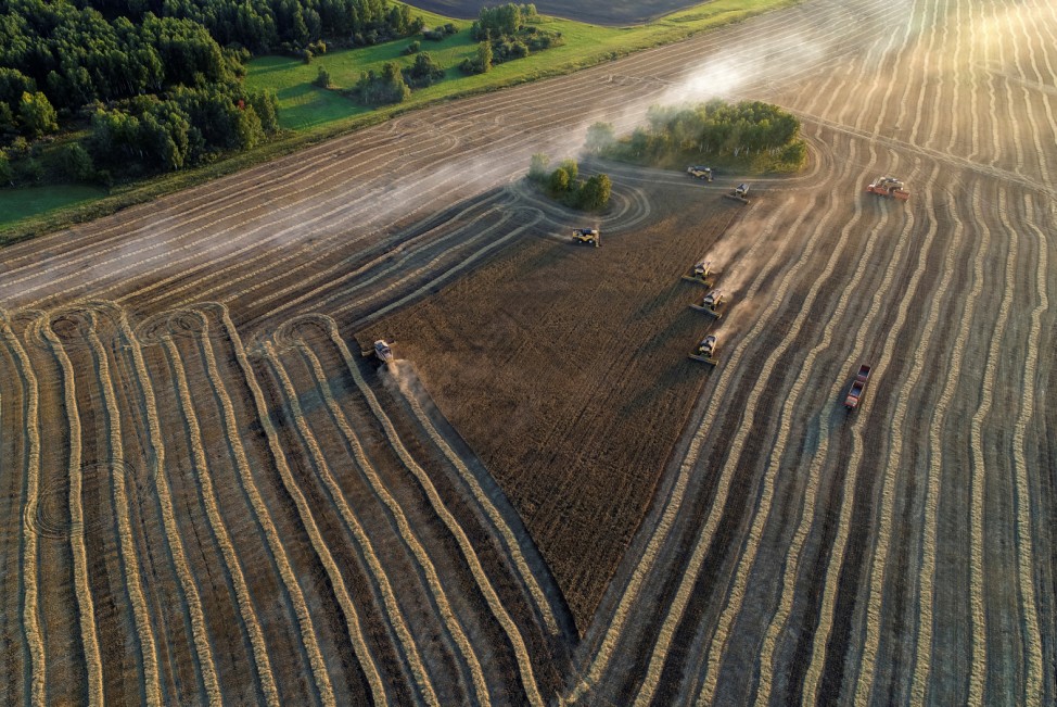 An aerial view shows combines harvesting wheat in a field of the Solgonskoye private farm outside the Siberian village of Talniki in Krasnoyarsk region