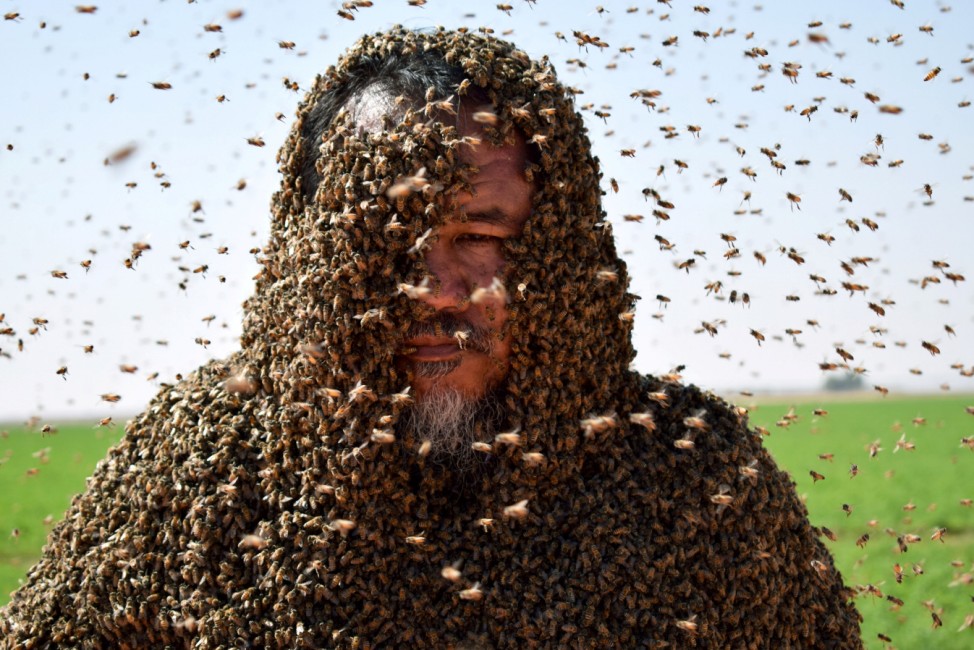 A Saudi man with his body covered with bees poses for a picture in Tabuk