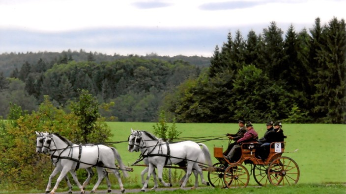 Pferde: Da schlagen die Herzen von Pferdefreunden höher: Am Samstag umrunden mehr als 30 historische Kutschen den Starnberg See.