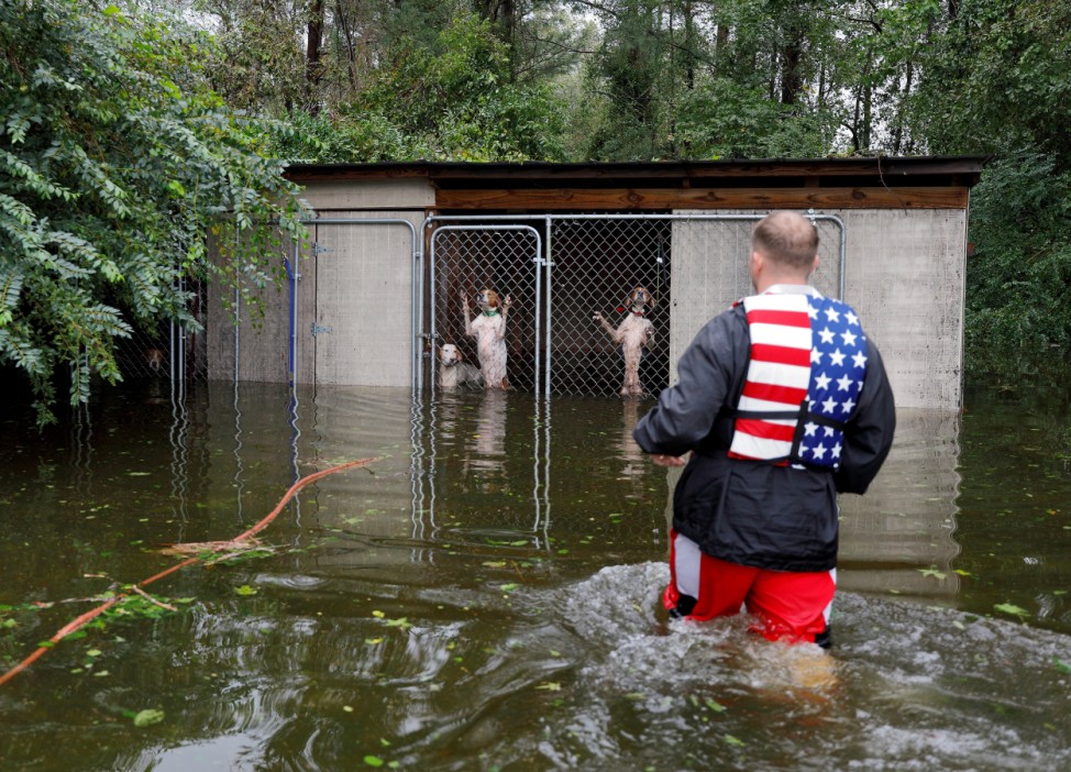 Panicked dogs that were left caged by an owner who fled rising flood waters in the aftermath of Hurricane Florence, are rescued by volunteer rescuer Ryan Nichols of Longview, Texas, in Leland, North Carolina