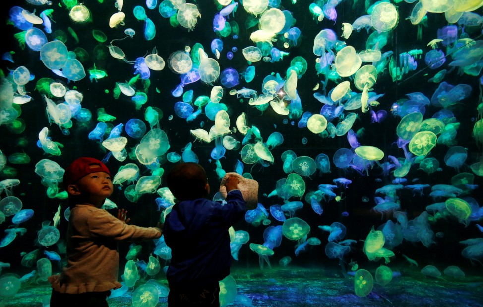 Young visitors stand in front of jellyfish in Zhuhai