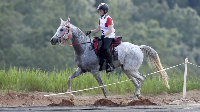 Distanzreiten bei der WM: Seit Jahren tragen viele Reiter beim Distanzritt den Vorwurf mit sich rum, sie würden den Sieg über das Wohl des Pferdes stellen.