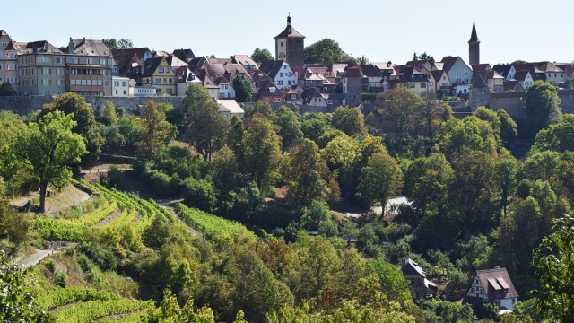 Rothenburg ob der Tauber: Riviera oder fränkisches Jerusalem? Der Weinberg mit alten Rebsorten liegt direkt unterhalb der Stadtmauer.