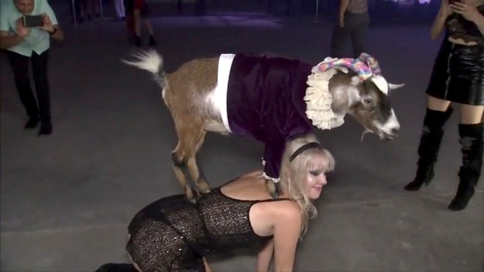 A goat stands on a woman's back during a party in Los Angeles