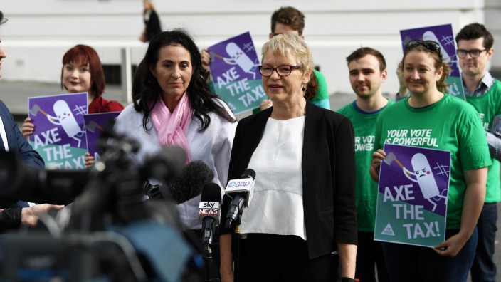 Victorian Greens Senator Janet Rice addresses the media outside the Commonwealth Parliament Offices in Melbourne