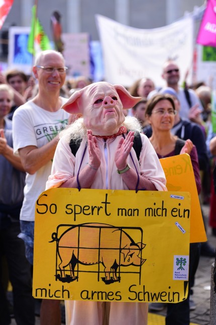 Protest: Klimaschutz und Tierschutz waren dabei nur zwei Themen der zahlreichen und kreativen Plakate.
