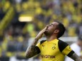 BVB: Paco Alcacer von Borussia Dortmund
