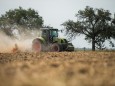 Dürre setzt Landwirtschaft zu