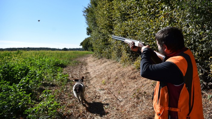 Frankreich: Ein Jäger bei der Eröffnung der Jagdsaison im Nordwesten von Frankreich