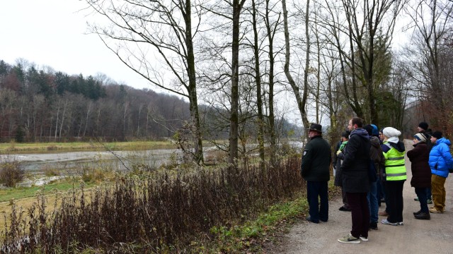 Naturschützer und Lokalpolitiker informieren sich über Baumfällungen an der Isar