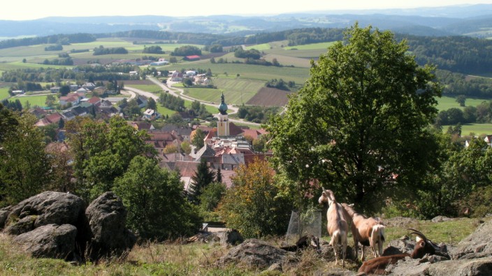 Tännesberg Oberpfalz Modellgemeinde Biodiversität