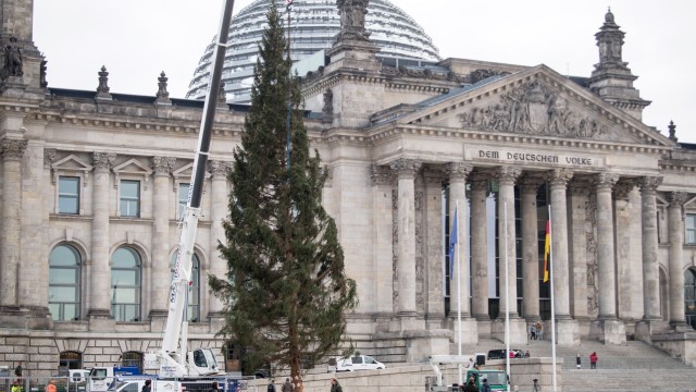 Weihnachtsbaum vor dem Bundestag