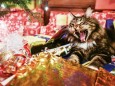 Weihnachtsgeschenke mit Katze