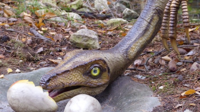Dinosaurier: Ein Eierdieb in der Urzeit: Im Dinopark Denkendorf sind mehr als 70 lebensgroße Nachbildungen von Sauriern zu sehen.