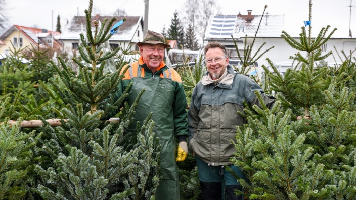 Christbäume: Josef und Thomas galli (von links) verkaufen ökologisch gewachsene Christbäume aus der Region