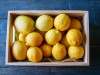 Lemons in wooden box on blue wood PUBLICATIONxINxGERxSUIxAUTxHUNxONLY KIJF000580