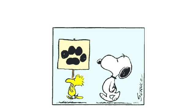 Ausstellung: In Snoopy, Woodstock, Charlie Brown und den anderen Helden nahmen die Sehnsüchte des Künstlers Gestalt an. Abbildungen: Peanuts