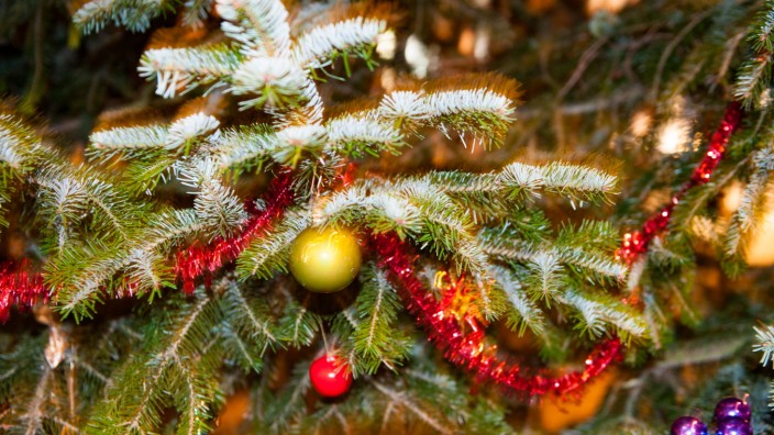 Typisch deutsch: Gehört in deutschen Wohnzimmern zu Weihnachten wie die Gans: der Christbaum.