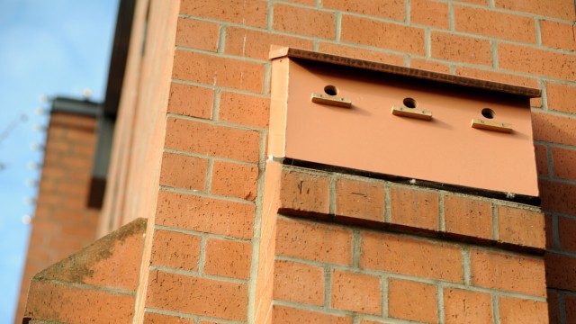 Vögel: Es wird geprüft, an welchen Schulen in München Nistplätze für Haussperlinge geschaffen werden können.
