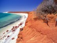 Rote Küstenlandschaft bei South Gregories im Francois Peron Nationalpark Australien