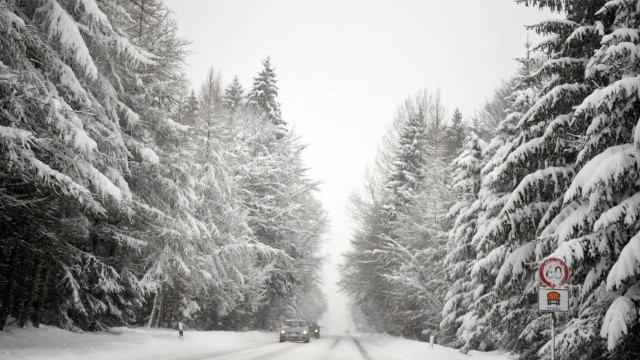Schneefälle: Die Straßen sind glatt, Bäume drohen unter der Last des Schnees einzustürzen.