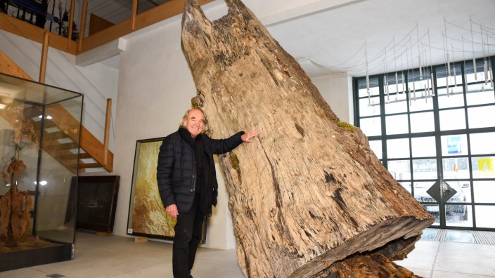 Für das Lebenswerk: Erwin Wiegerling - Künstlername E.lin - arbeitet gern mit Naturmaterial. Diesen etwa 300 Jahre alten Ahorn hat er für die Kunst gerettet; er bewahrt ihn nun erst einmal in seinem Atelier in Gaißach auf.