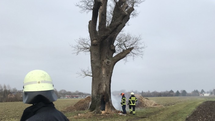 Emmering: Qualmender Baum: Emmeringer Feuerwehrleute beim Versuch, die Eiche am Weidl zu löschen.